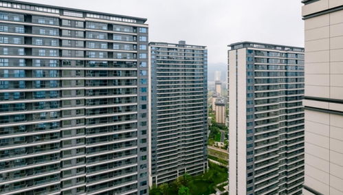 听说了吗 去年的北市销冠楼盘要交付了
