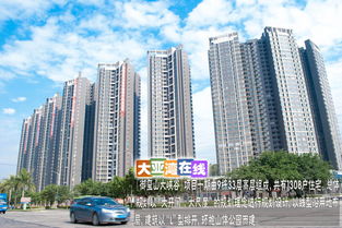 大亚湾西区有哪些大公司大村落大楼盘