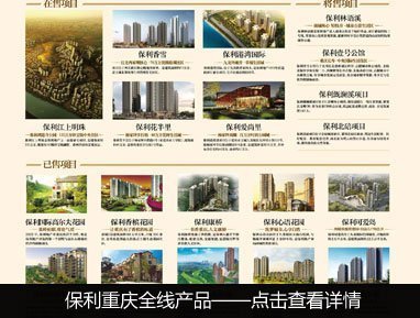 楼盘微点评NO9