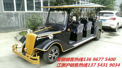 供应九江电动游览车,抚州电瓶看楼车豪华接待车,电动看房车