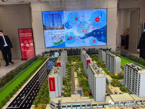 嘉兴爆热楼盘推荐 中南 九龙澜邸 地铁口旁边的房子