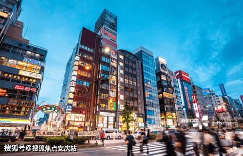 最新关注 楼盘信息 房价 户型 周边配套,交通地图及动态
