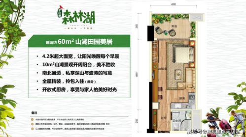广东碧桂园森林湖丨惠州碧桂园森林湖欢迎您丨官方网站 楼盘详情