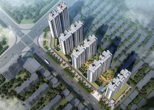 市中心纯改善楼盘即将首开，赠送车位引关注