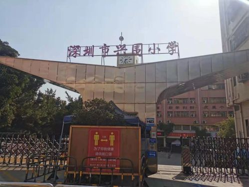 被工厂与农民房包围的宝安新盘 300万起，到底香不香？